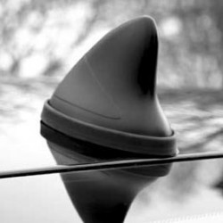 Sharkfin